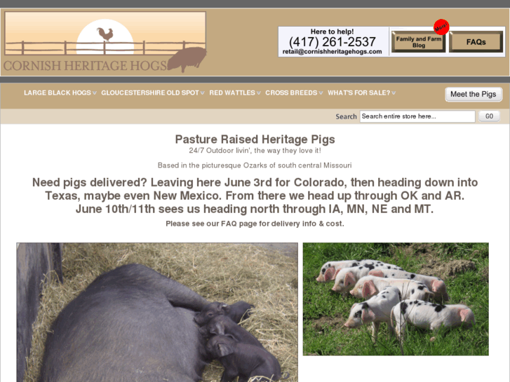 www.cornishheritagehogs.com