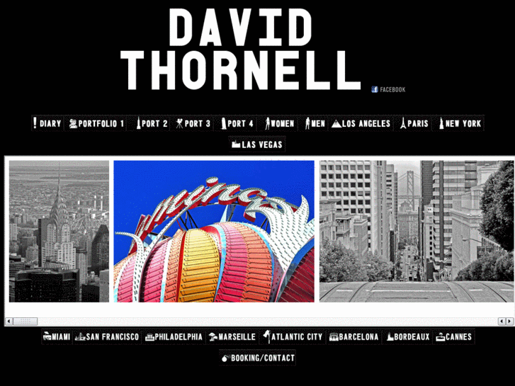 www.davidthornell.com