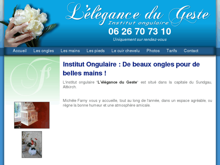 www.institut-ongulaire.com