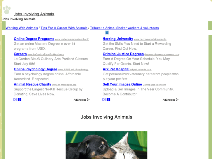 www.jobsinvolvinganimals.com