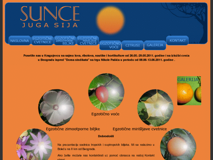 www.suncejugasija.in.rs