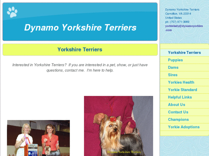 www.dynamoyorkies.com