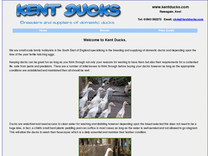 www.kentducks.com