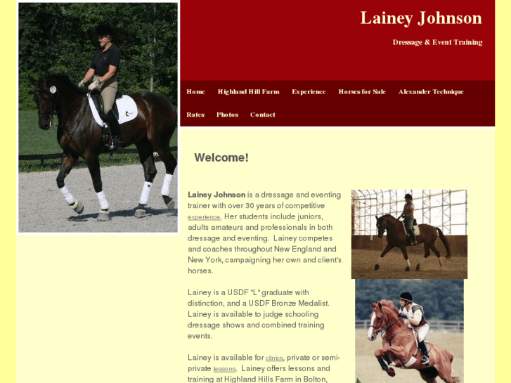 www.laineyjohnson.com