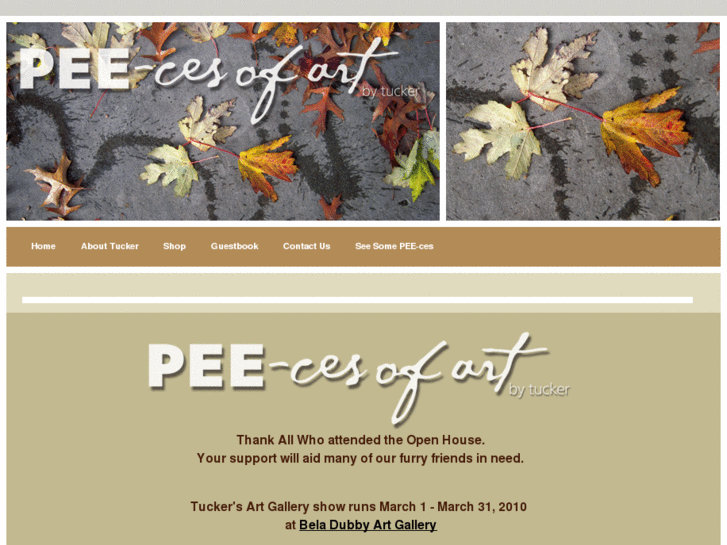 www.pee-ces.com