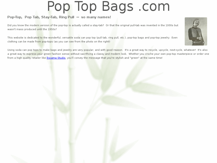 www.pulltabbag.com