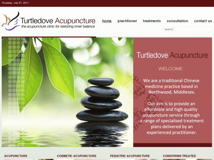 www.turtledoveacupuncture.com