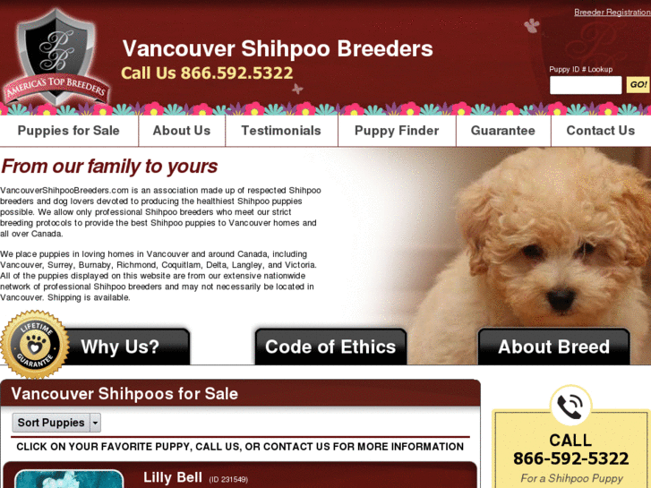 www.vancouvershihpoobreeders.com