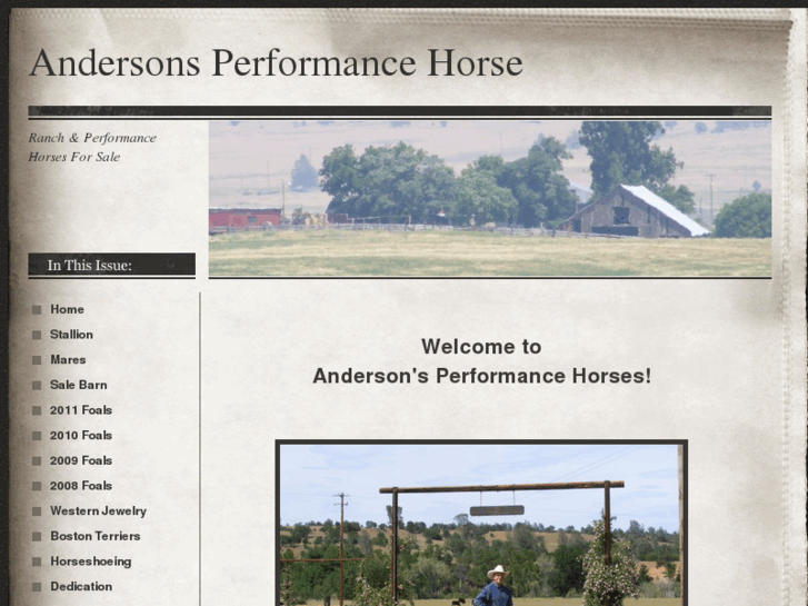 www.andersonsperformancehorse.com