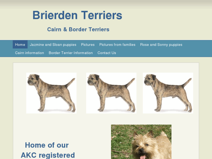 www.brierdenterriers.com