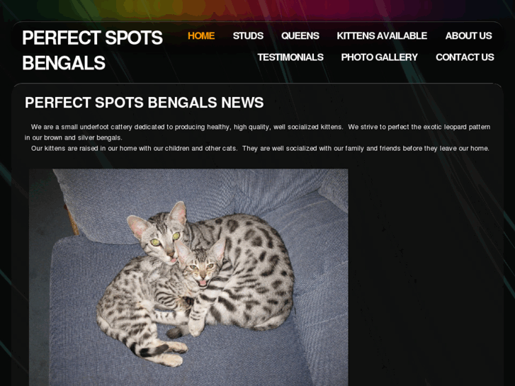 www.perfectspotsbengals.com