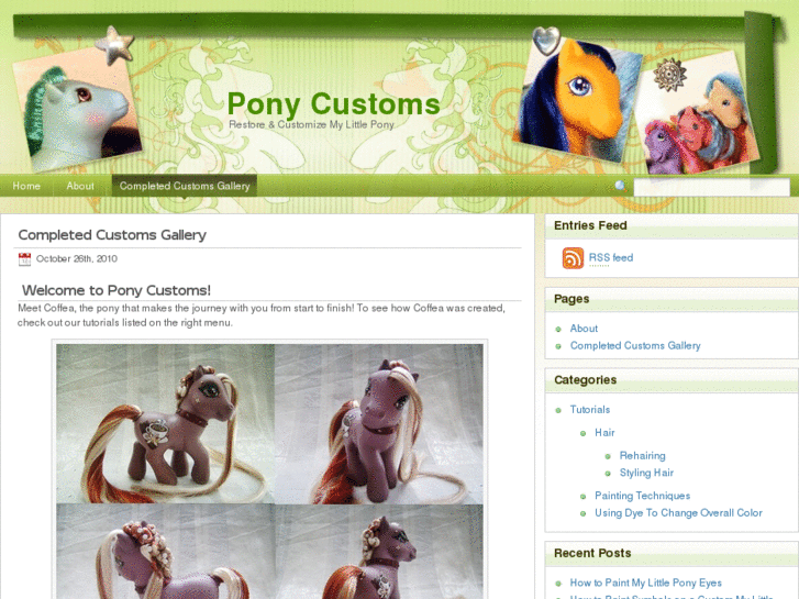 www.ponycustoms.com