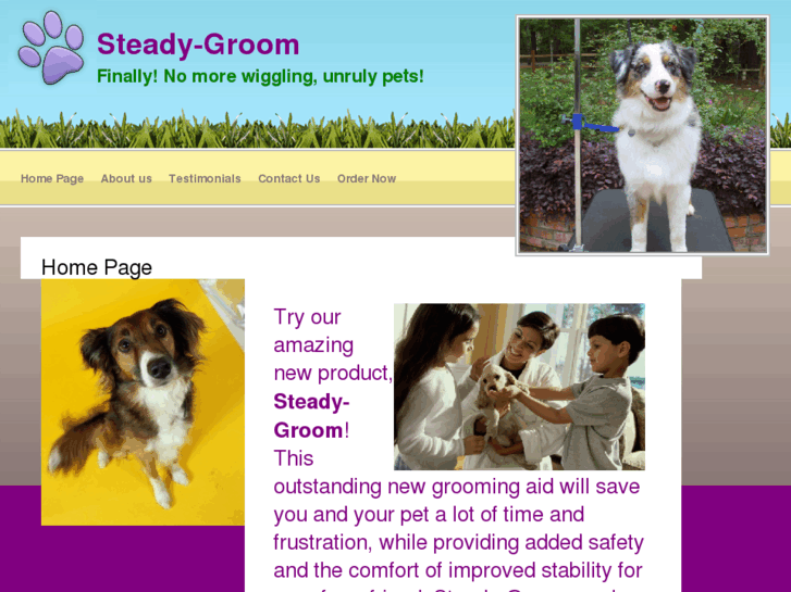 www.steadygroom.com