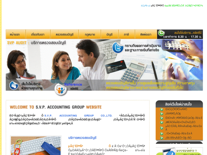 www.svp-audit.com