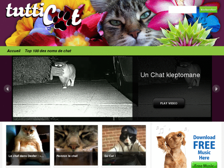 www.tuttipets.com