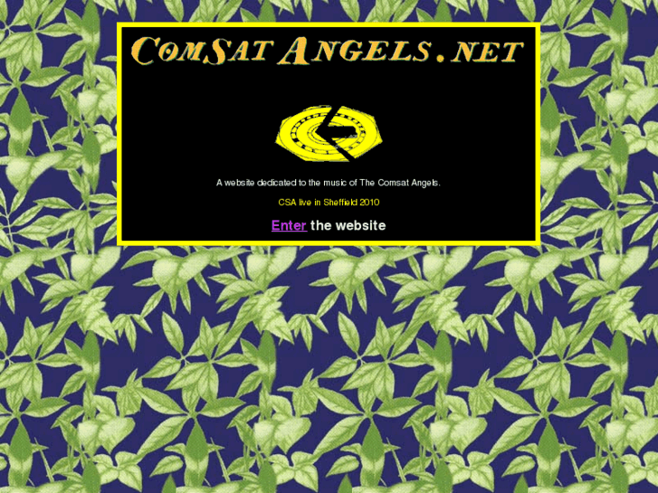 www.comsatangels.net