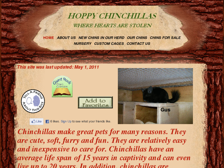 www.hoppychinchillas.com