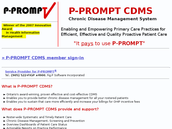 www.p-prompt.com