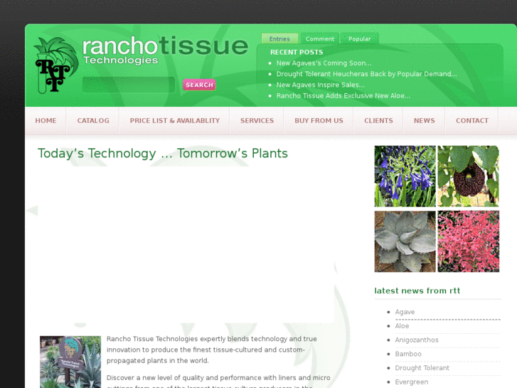 www.ranchotissue.com