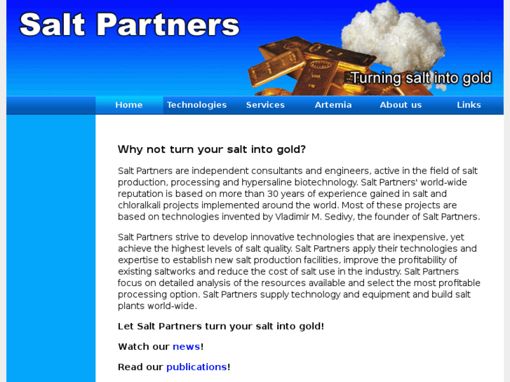 www.salt-partners.com