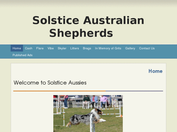 www.solsticeaussies.com