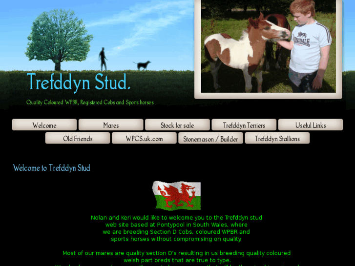 www.trefddynstud.com