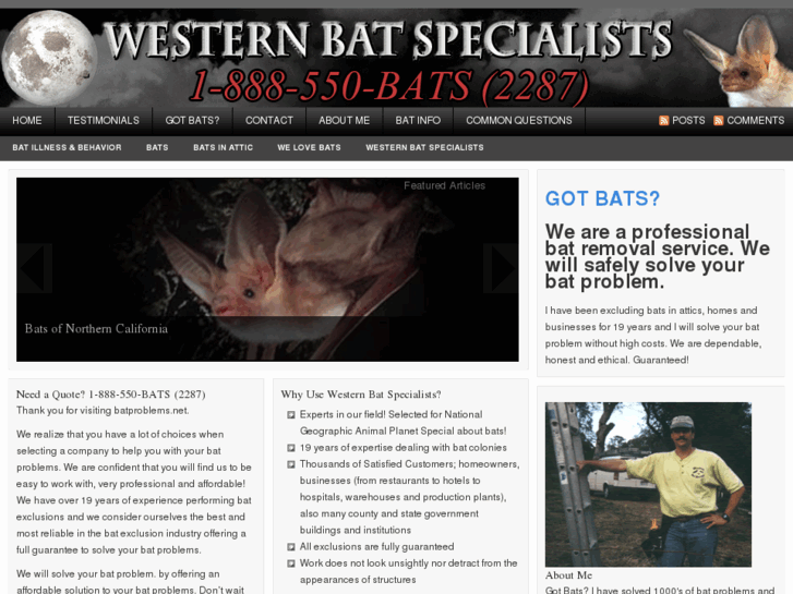 www.how-to-get-rid-of-bats.com
