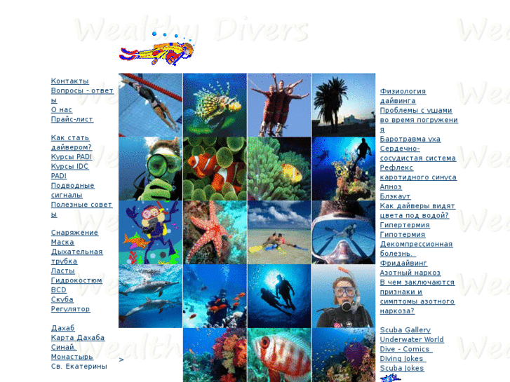 www.wealthydivers.com