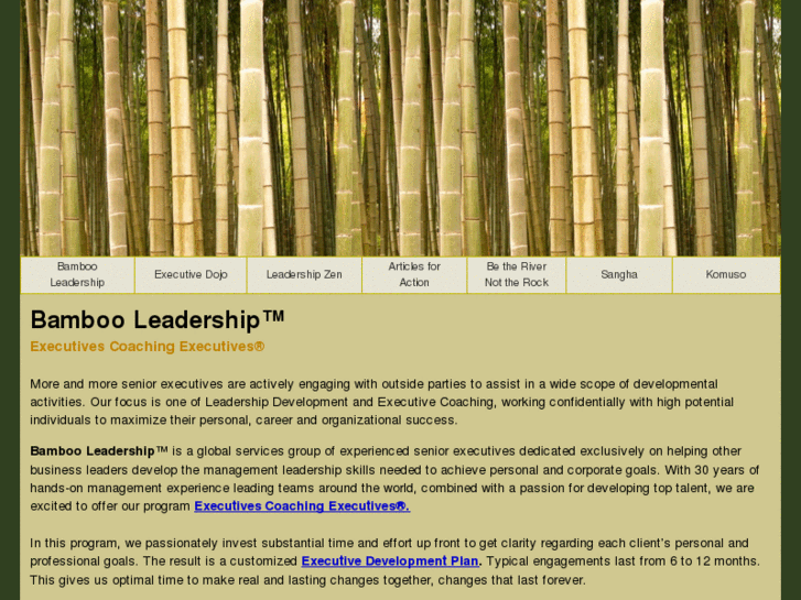www.bambooleadership.net