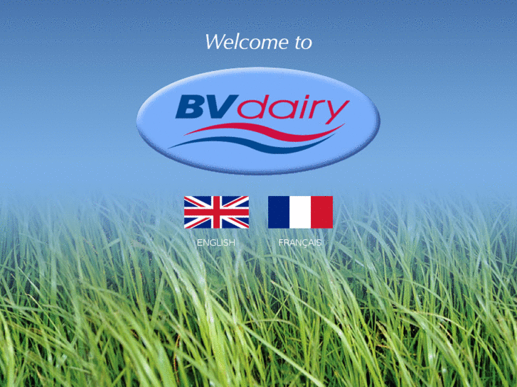 www.bvdairy.co.uk