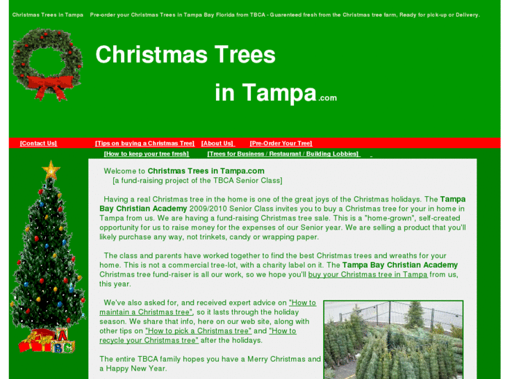 www.christmastreeintampa.com