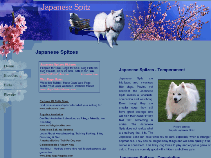 www.japanese-spitz-dogs.com