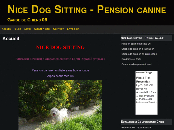 www.nicedogsitting.com