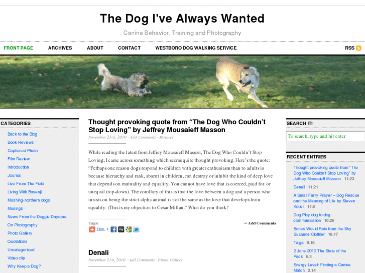 www.thedogivealwayswanted.com