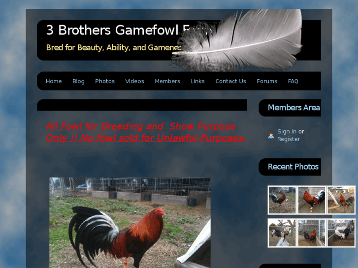 www.3brothersgamefarm.com