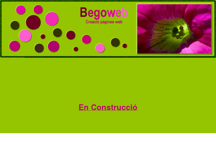 www.begoweb.com