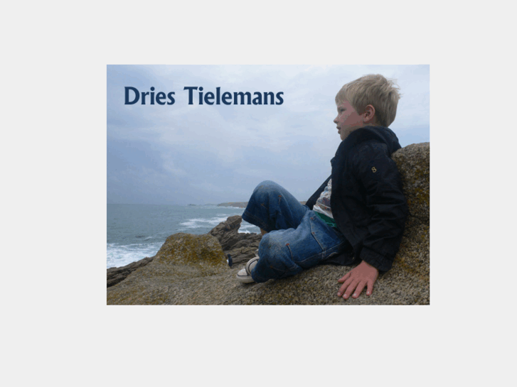 www.driestielemans.nl