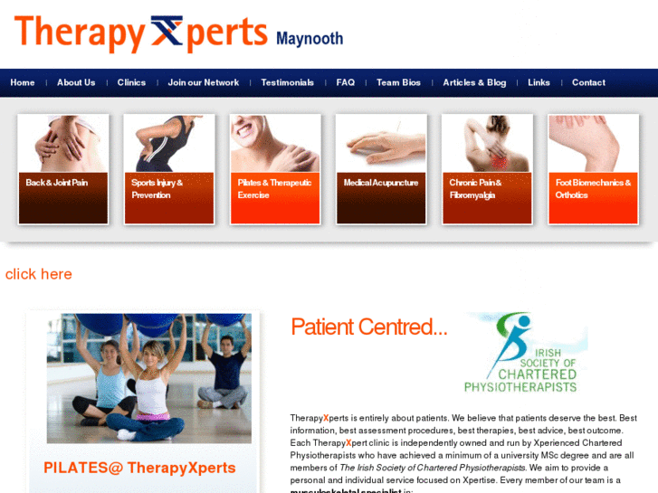 www.physiotherapydublin.com