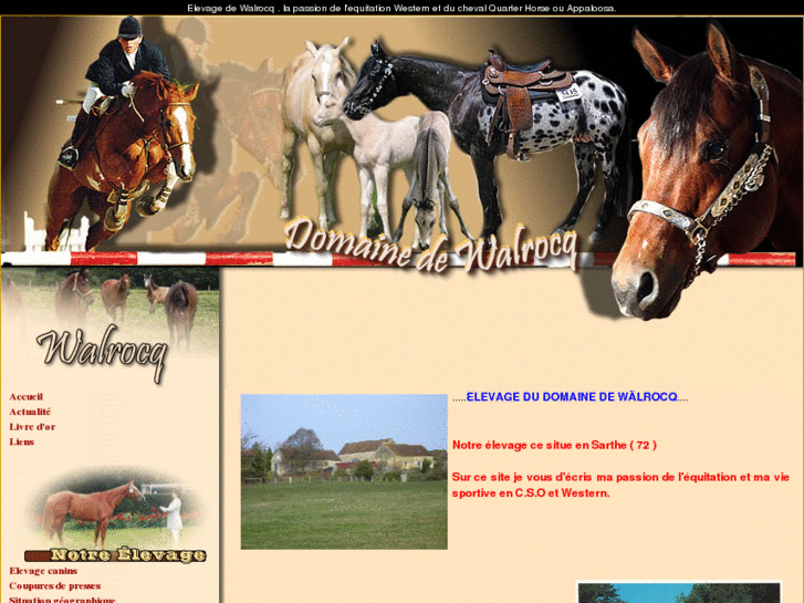 www.quarterhorse-appaloosa-walti.com