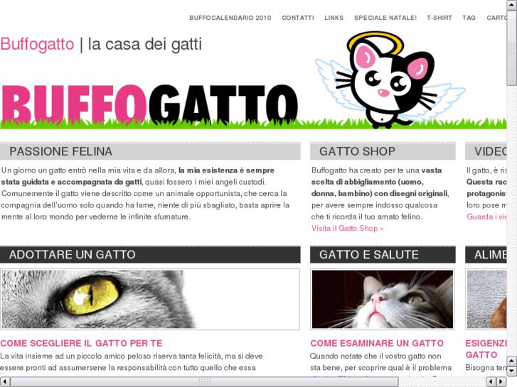 www.buffogatto.net