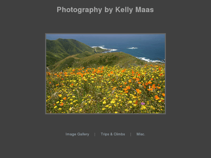 www.kellymaas.com