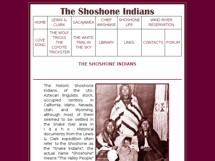 www.shoshoneindian.com