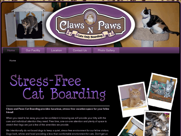 www.clawsnpawscatboarding.com