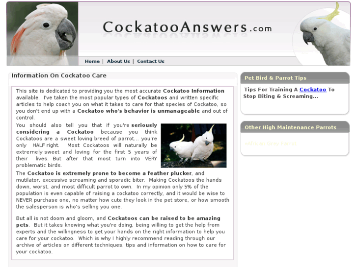 www.cockatooanswers.com