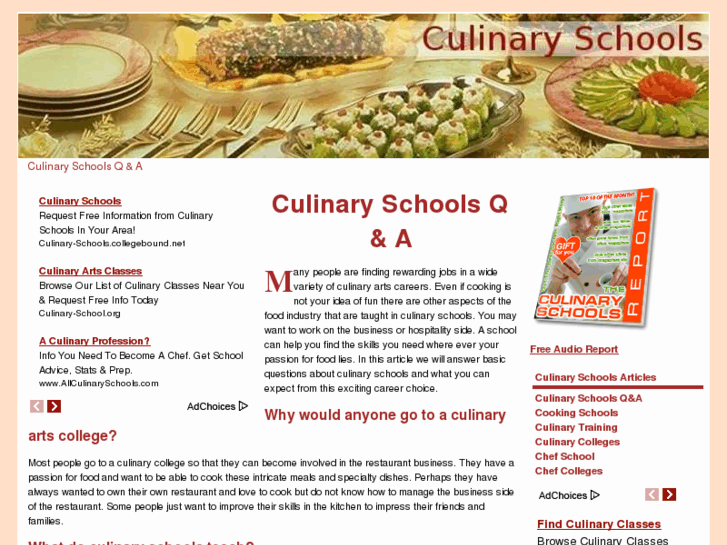 www.culinaryschoolsbasics.com