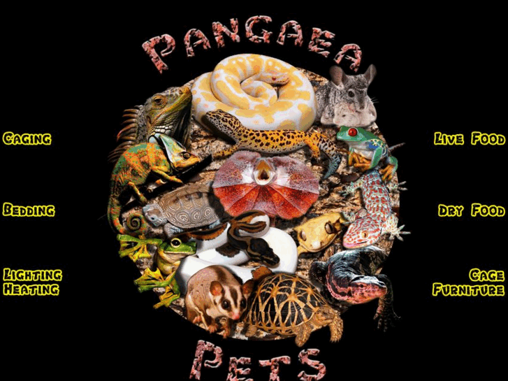 www.pangaeapets.com