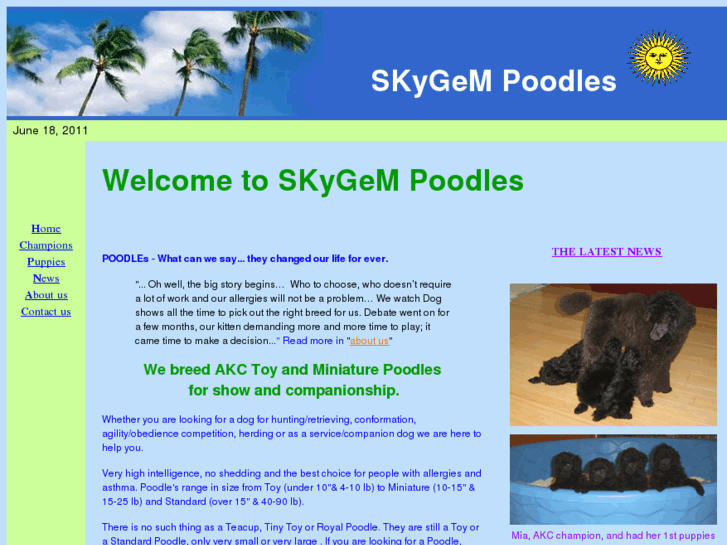 www.skygempoodles.com