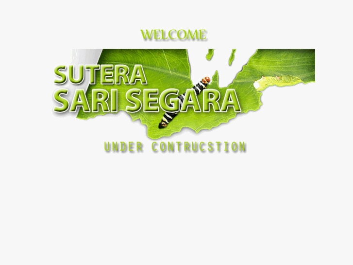 www.suterasarisegara.com