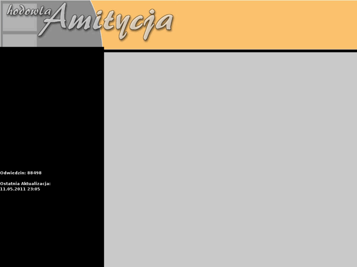 www.amitycja.com.pl