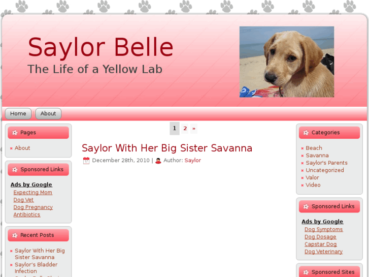 www.saylorbelle.com